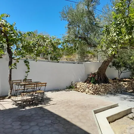 Olive Tree Apartment