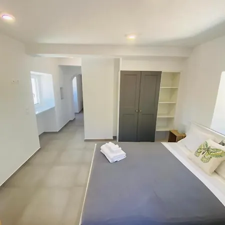 Olive Tree * Elia (Laconia)